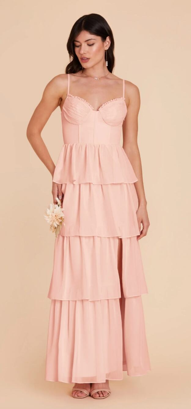 NWT Birdy Grey Lola Dress Chiffon Dress in Blush Pink size 2X